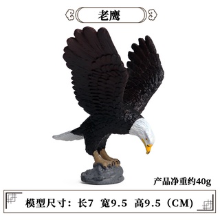 Aves modelos águilas búhos pájaros pájaros serie figuras juguetes  cognitivos animales decoraciones | Shopee Colombia