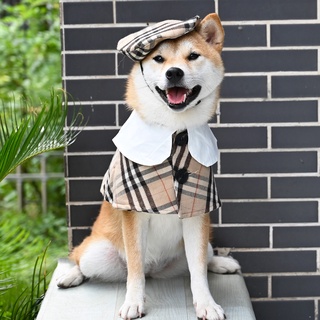 burberry colombia catalogo