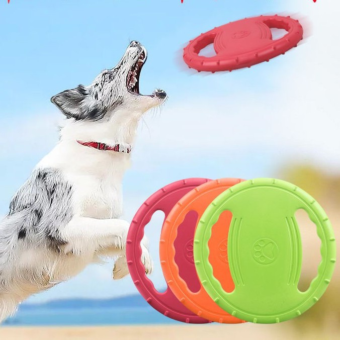 Frisbee Para Perros