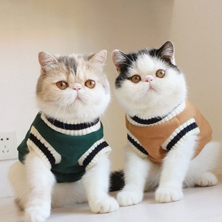 ropa para gatos - Precios y Ofertas - de 2023 Shopee Colombia