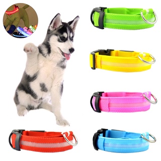 Collar de luz Led antipérdida para perros y cachorros, suministros