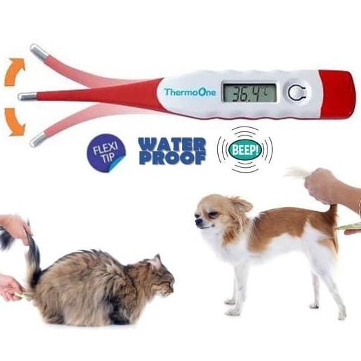 Touhou Prueba de Derbeville Activar Termómetro Digital para animales, medición de temperatura corporal para  perros y gatos | Shopee Colombia