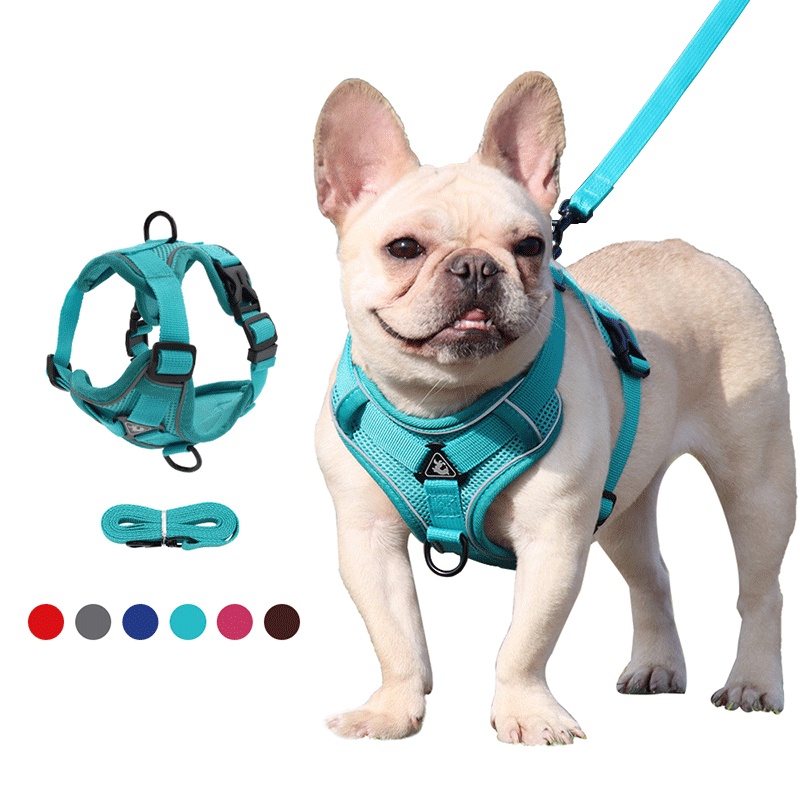 Arnés Para Perro Nobby Norweger - Malla Acolchada Talla M-L (Cuello: 50-64 Cm + Pecho: 42 Cm), Color Rojo, Resistente Al Agua