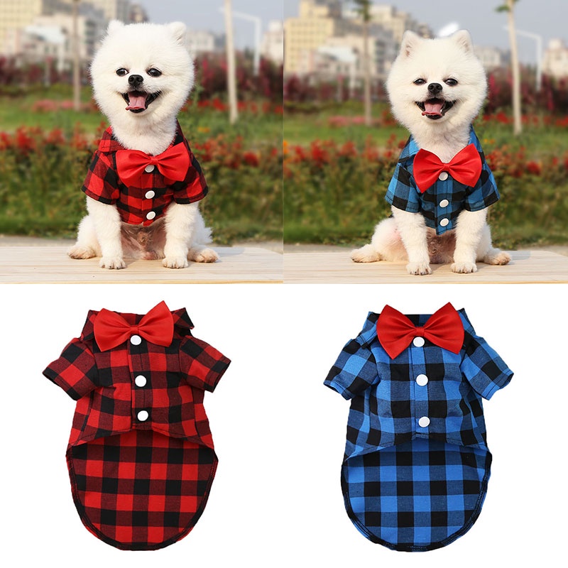 Camisas para online perro