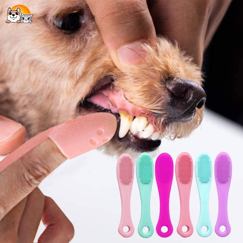 Encantada de conocerte Hombre Marcar cepillo de dientes para mascotas Ofertas En Línea, 2023 | Shopee Colombia