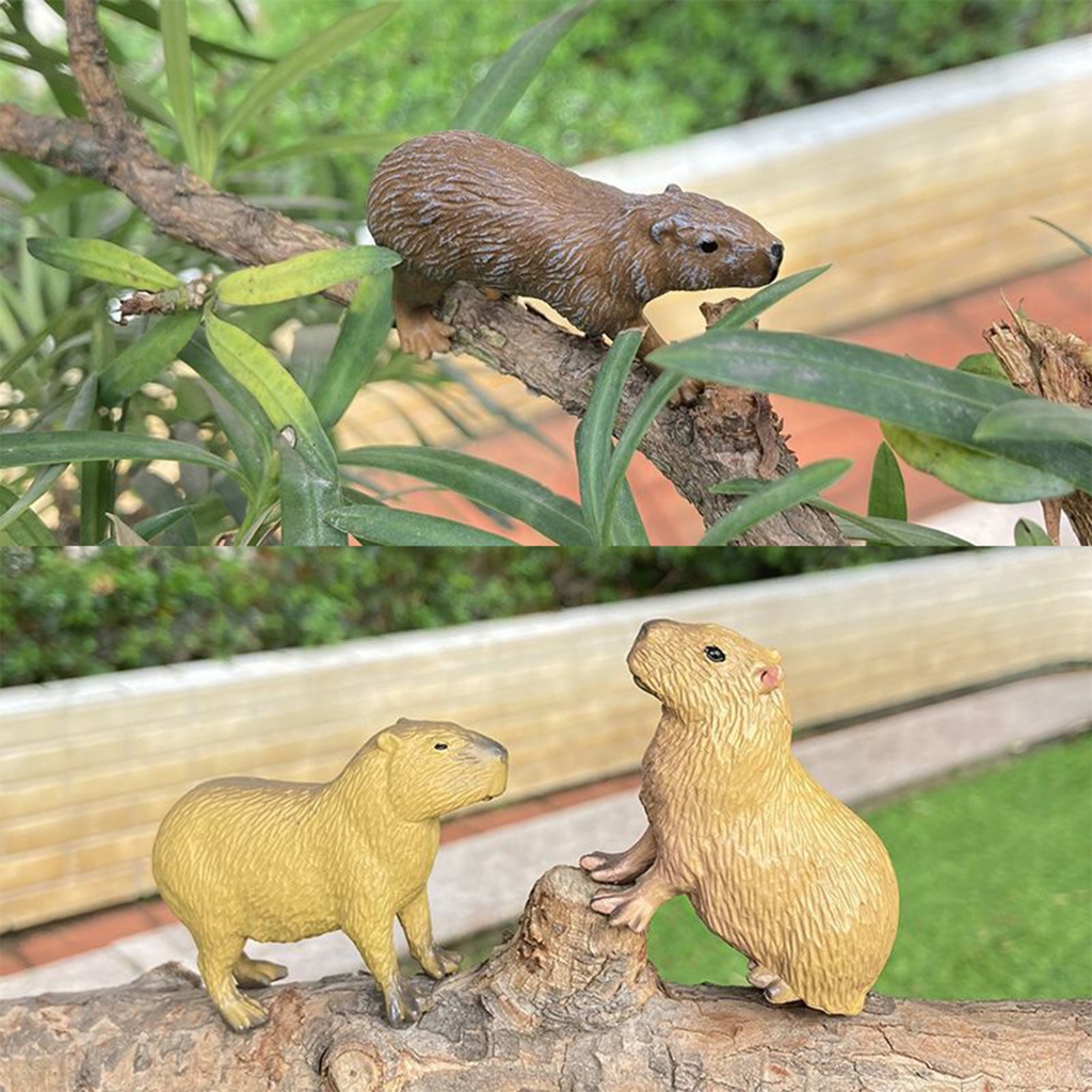 MOLUCKFU Juguete Sólido Estático de Gato sin Pelo Sphynx Modelo Animal Simulado Realista, Adorno Decorativo para Escritorio, Figura Educativa, Juguete para Gatos, Pieza Única