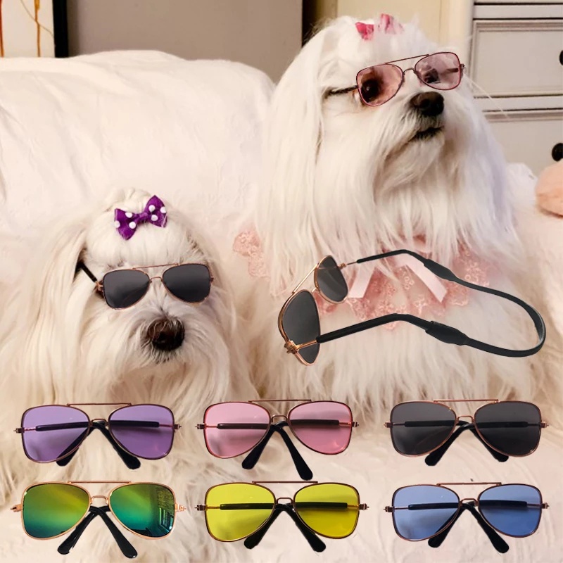 Gafas para online perros