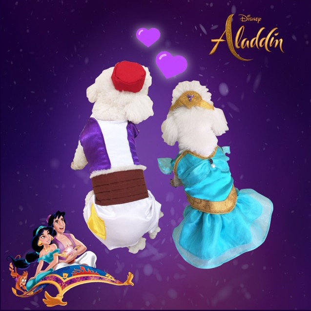 Disfraz de Jasmín, la princesa de Aladdin