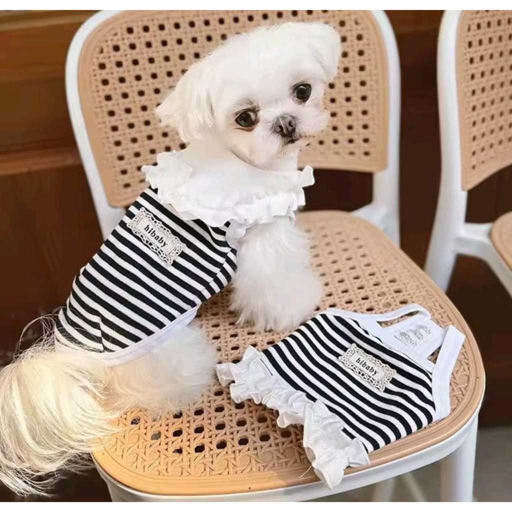 Ropa Para Perros/Gatos DP-CL-CPL-15 Niño Y Niña | Shopee Colombia