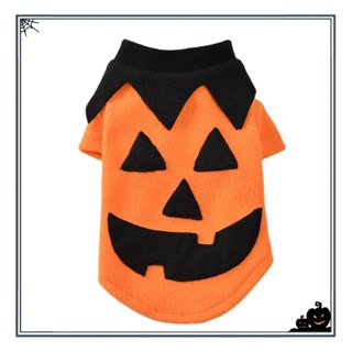 Cute pumpkin costume!  Tutú de calabaza, Disfraces de halloween  infantiles, Halloween bebes