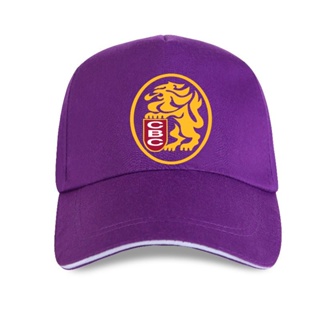 Gorra Sombrero Leones del Caracas Franelas Venezuela De Béisbol | Shopee  Colombia