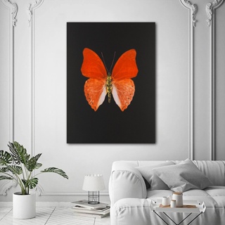 Cuadro moderno abstracto mariposa Impreso