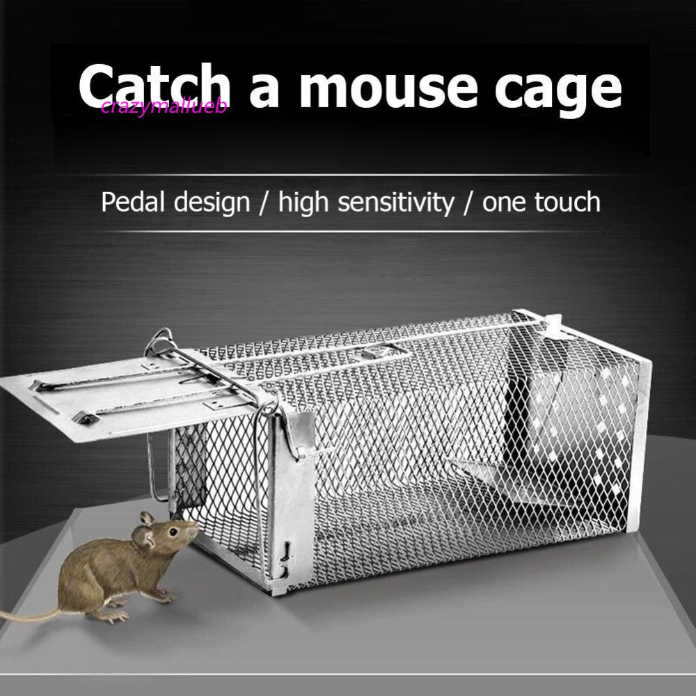 Trampa para ratas con pedal de 5 piezas, trampa para ratones