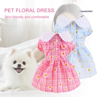 Perros con online vestido