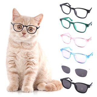 Las gafas best sale del gato