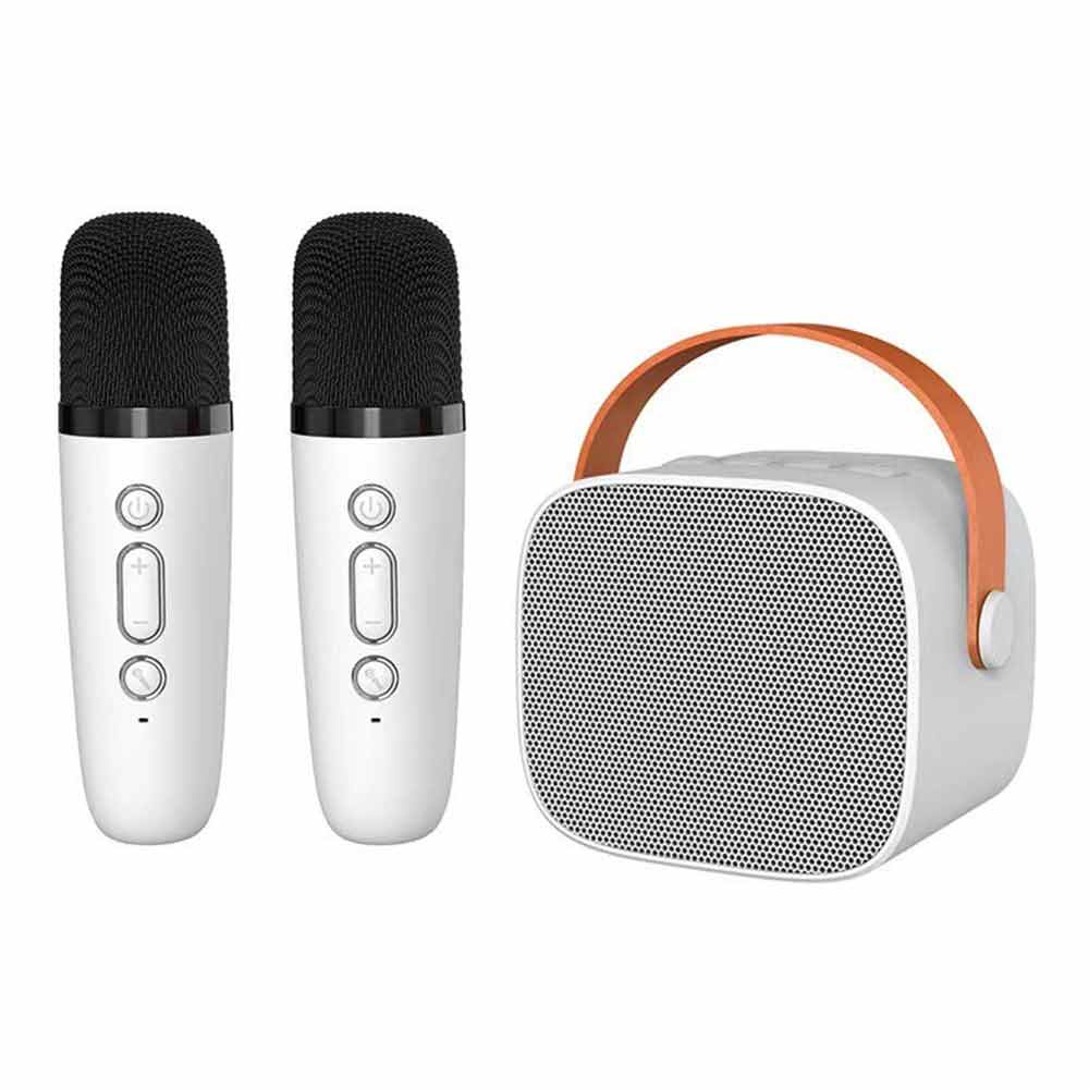 Máquina de karaoke, con 2 micrófonos inalámbricos, altavoz portátil  Bluetooth PA