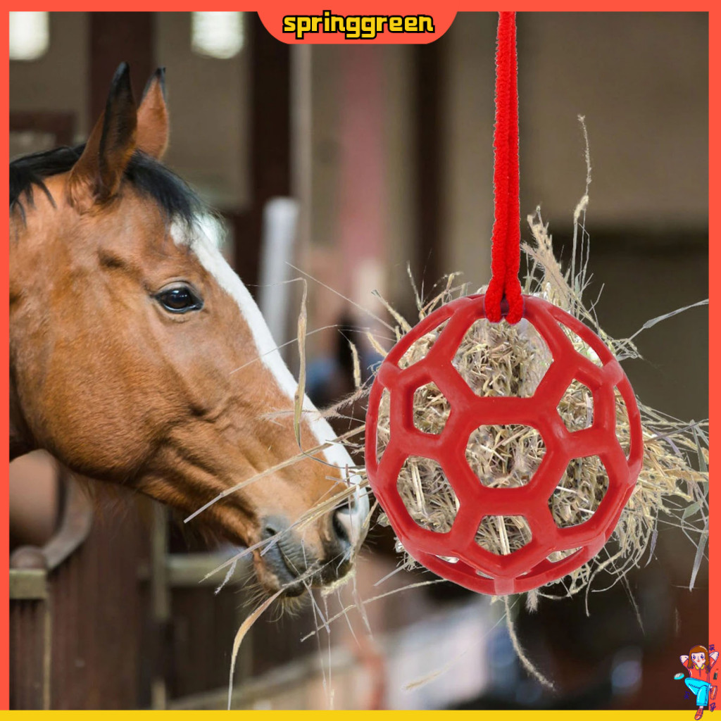 Horse Feeding Slow Down Tool Feeder Interactive Ball for Horses and