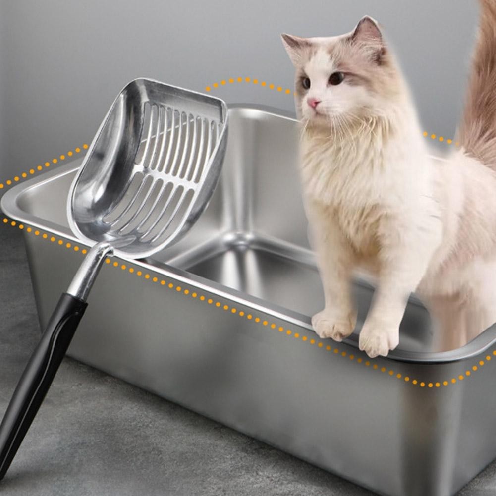 Gatitos Como Limpiar El Arenero Como Se Limpia La Caja De Arena - Main Image