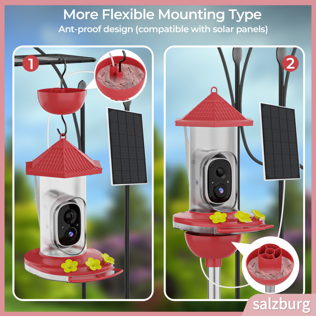 Outdoor Bird Camera Feeder Advanced Technology Aviary with Solar ...