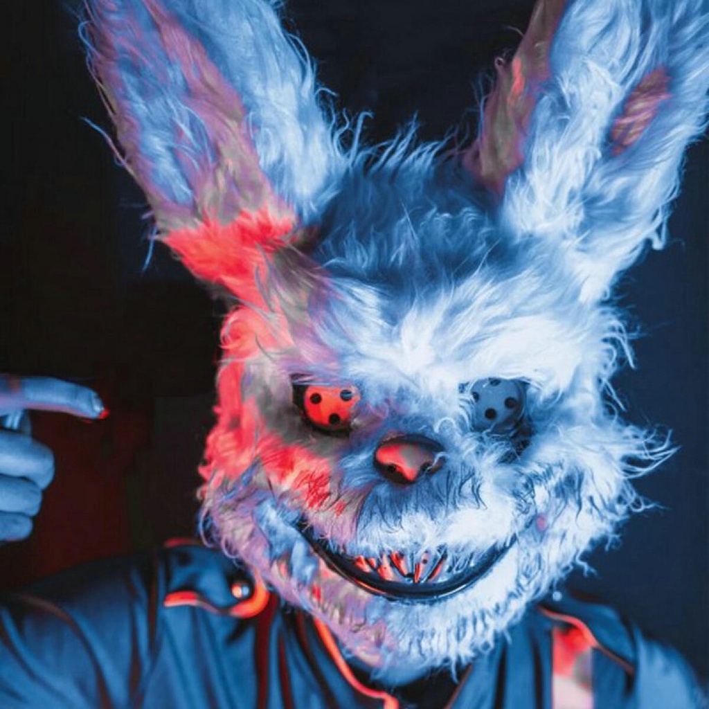 Skeleteen Disfraz de conejo para nariz y dientes, accesorio para disfraz de  nariz y dientes, máscara facial para adultos y niños