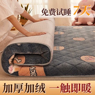 Colchón de edredón japonés para suelo, colchón plegable de cuatro  estaciones, universal para niños y niñas, tapete de tatami grueso para  dormir en